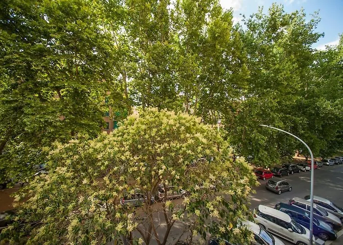 Great In Great Location Apartment